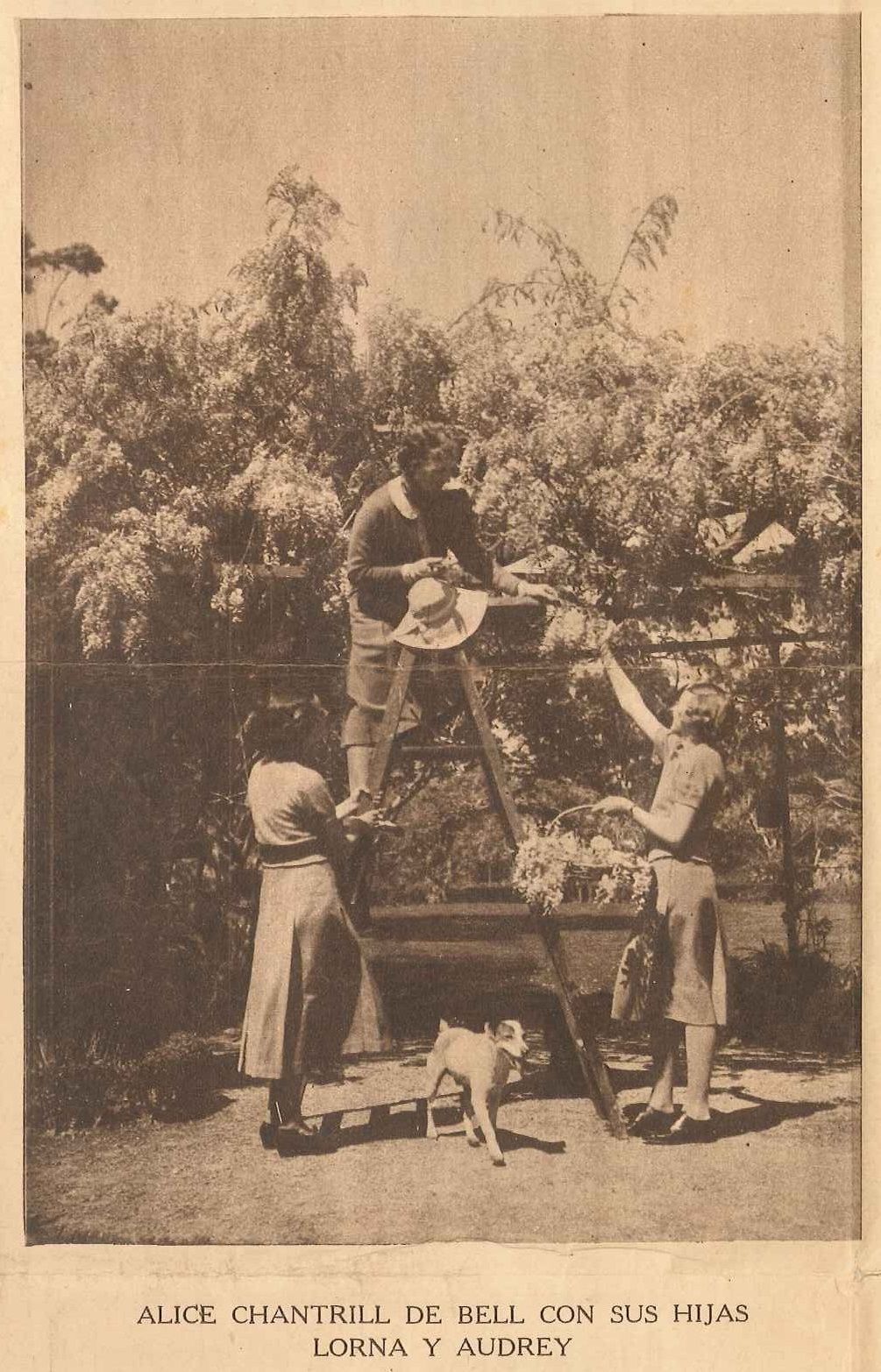 Los 100 años del Garden Club Argentino: un centenario a pura historia