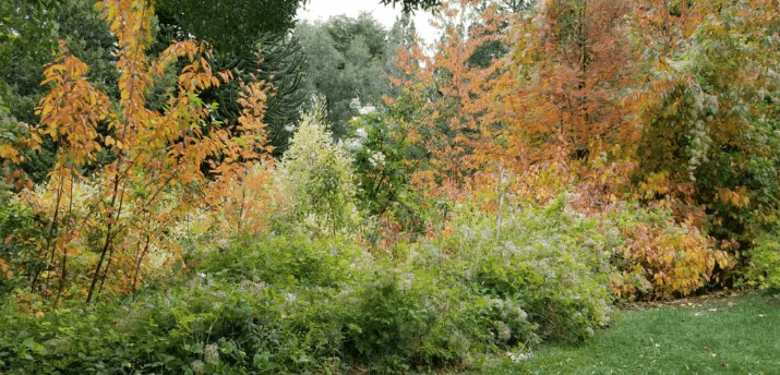 Un jardín de Patsy en Bariloche