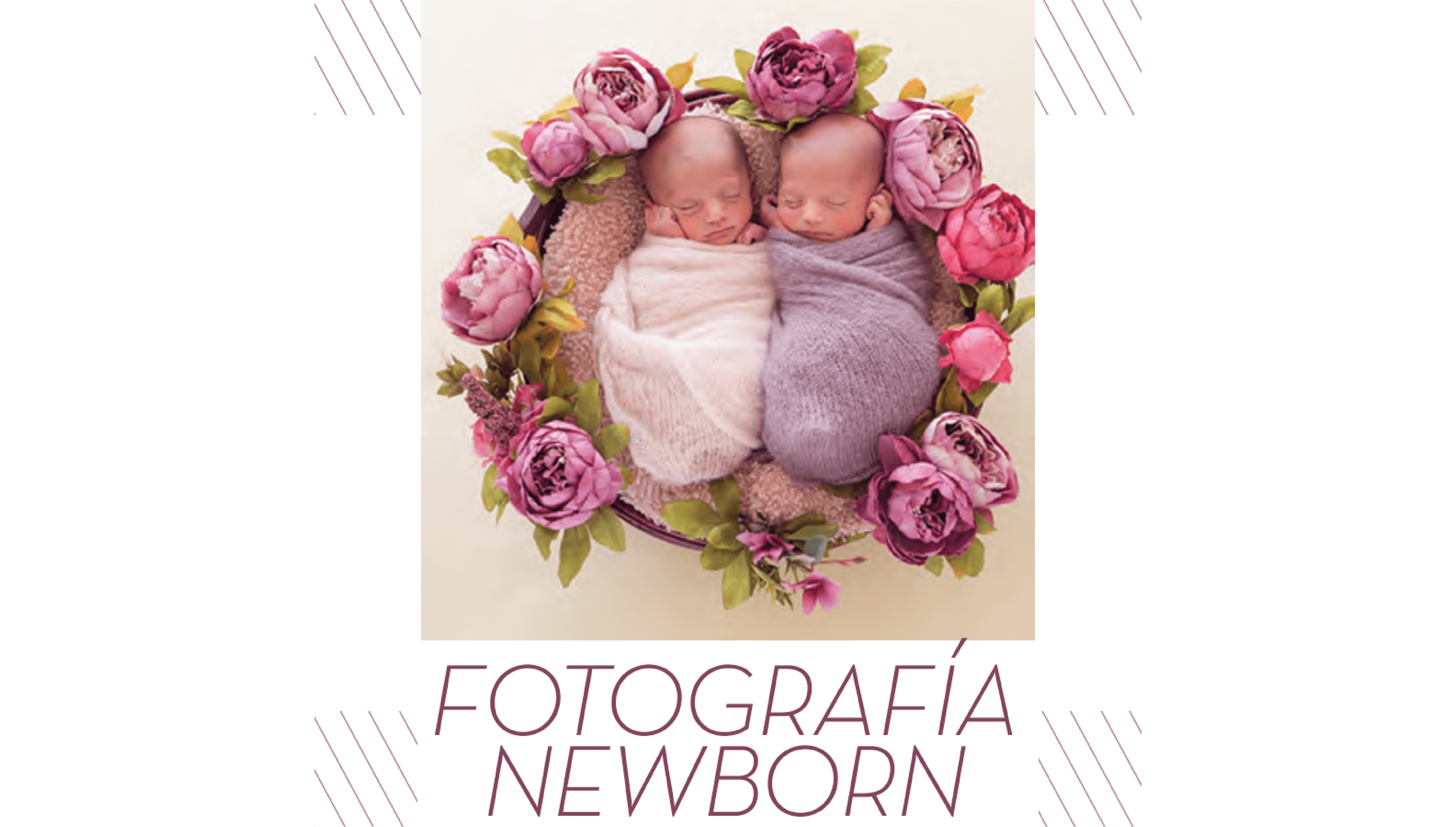 Fabiana Blanco: Fotografia NewBorn