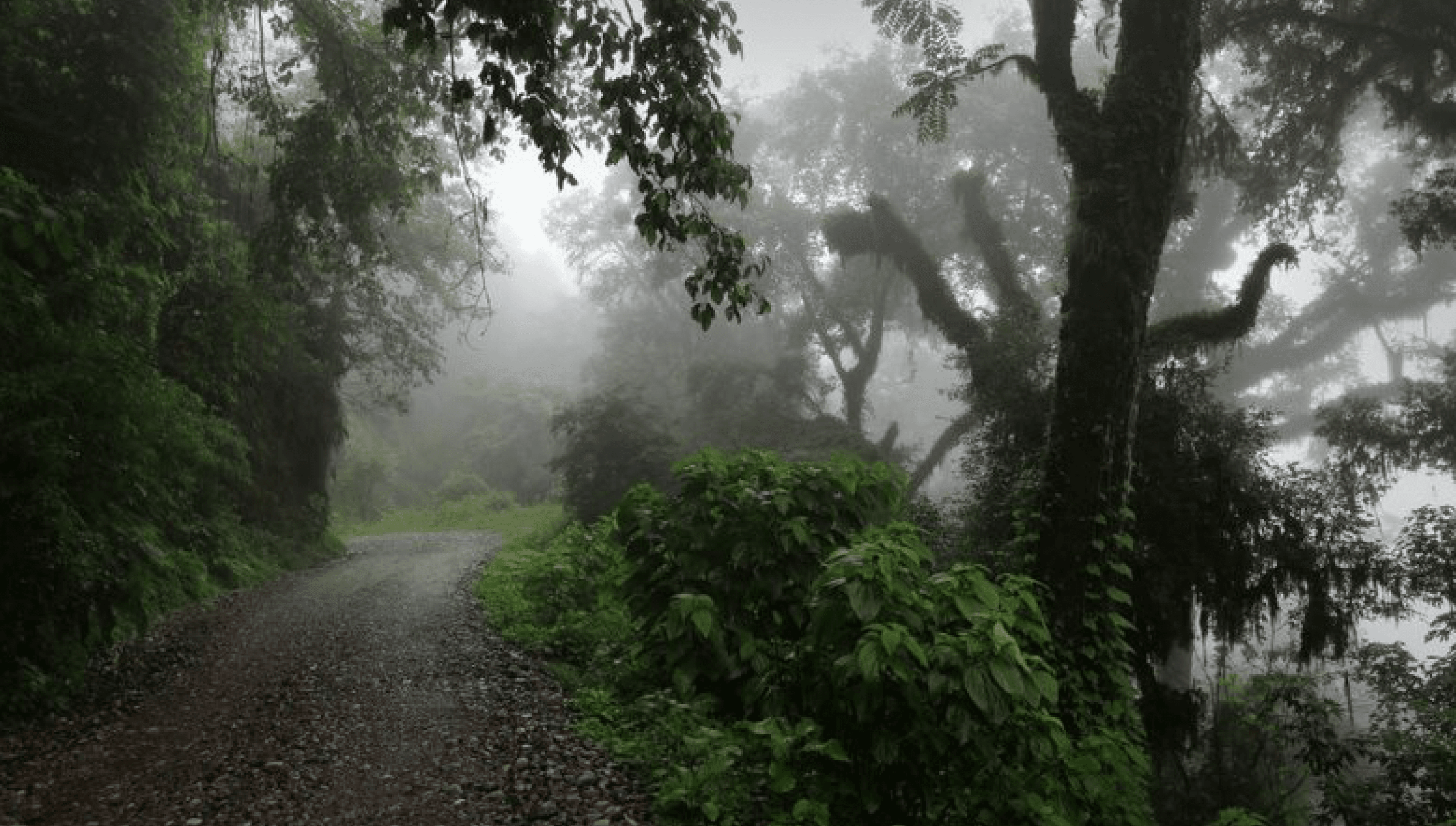 Las Yungas, un tesoro escondido en el Norte Argentino