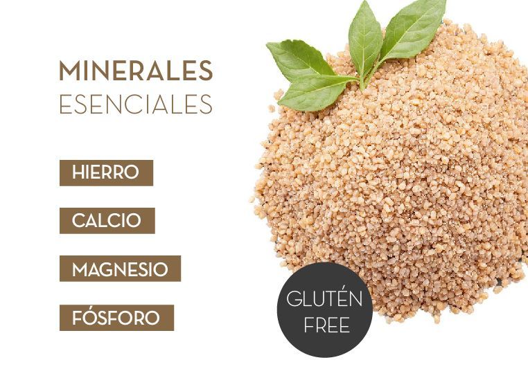 Quinoa: El Superalimento Versátil para una Alimentación Saludable