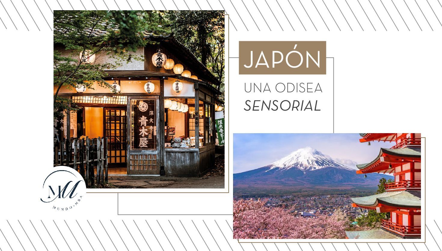 Japón: Una Odisea Sensorial con Mundo MBA