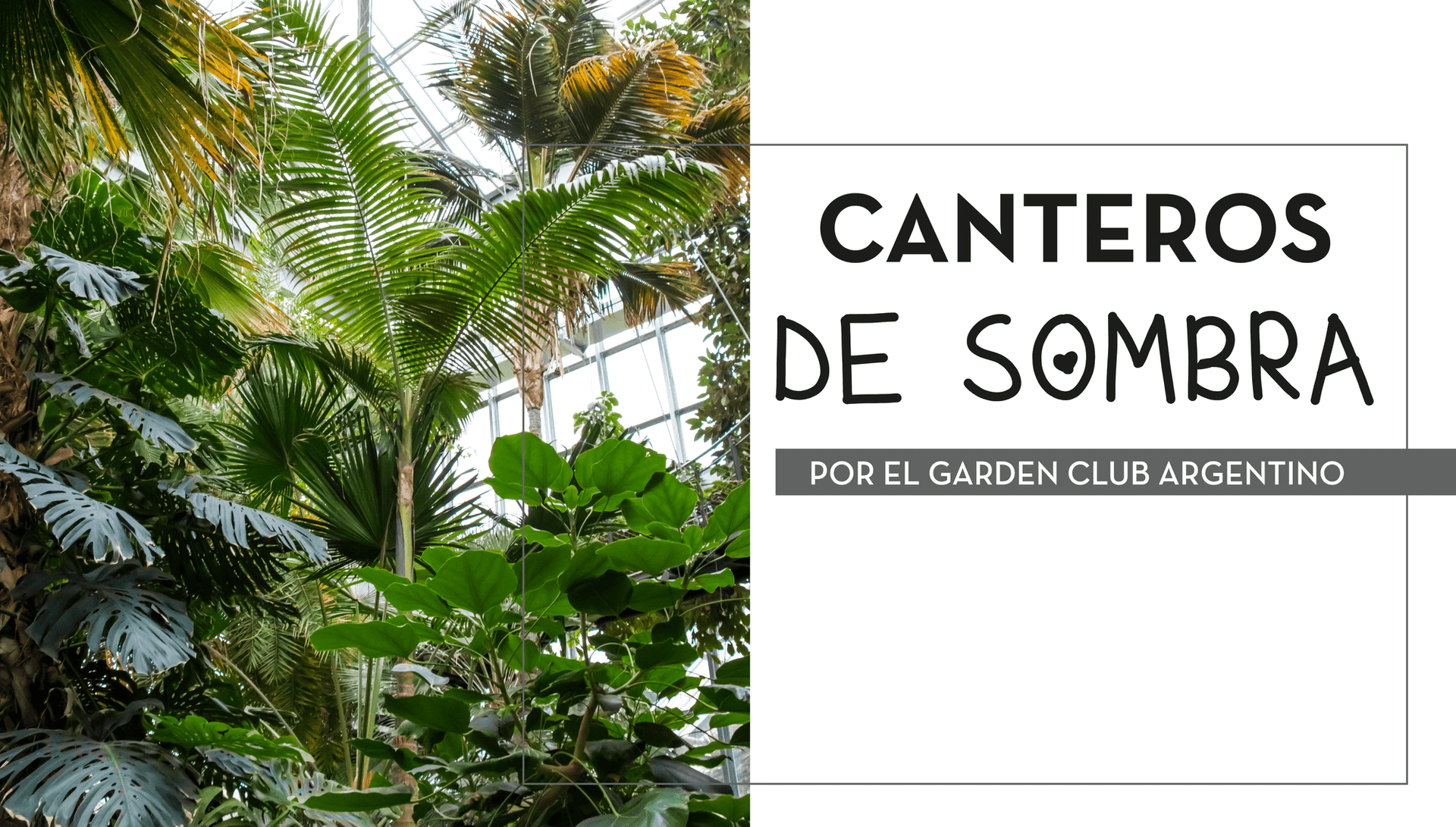 Canteros de sombra