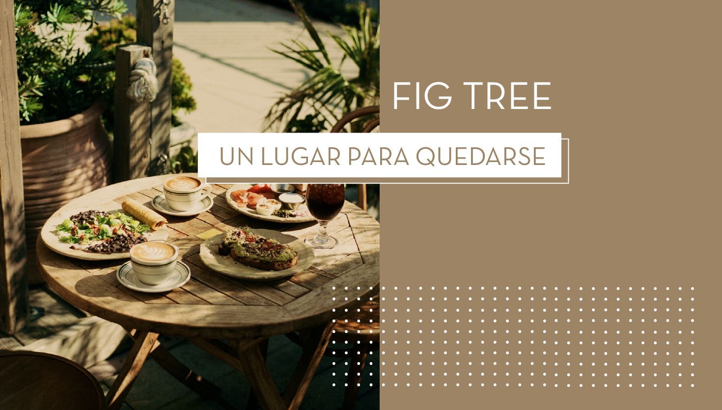 Fig Tree, un lugar para quedarse