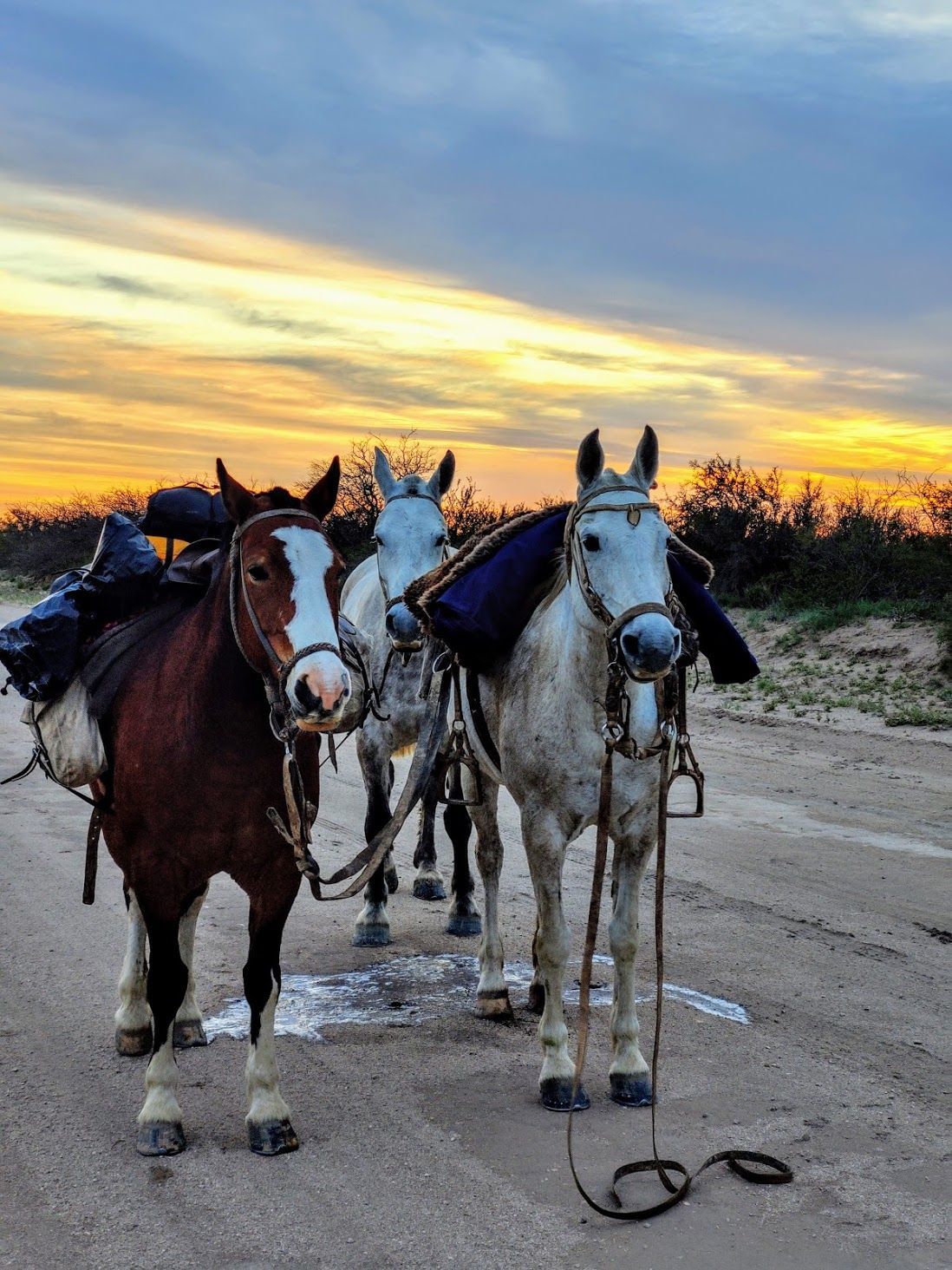 Recorrer la Argentina a caballo