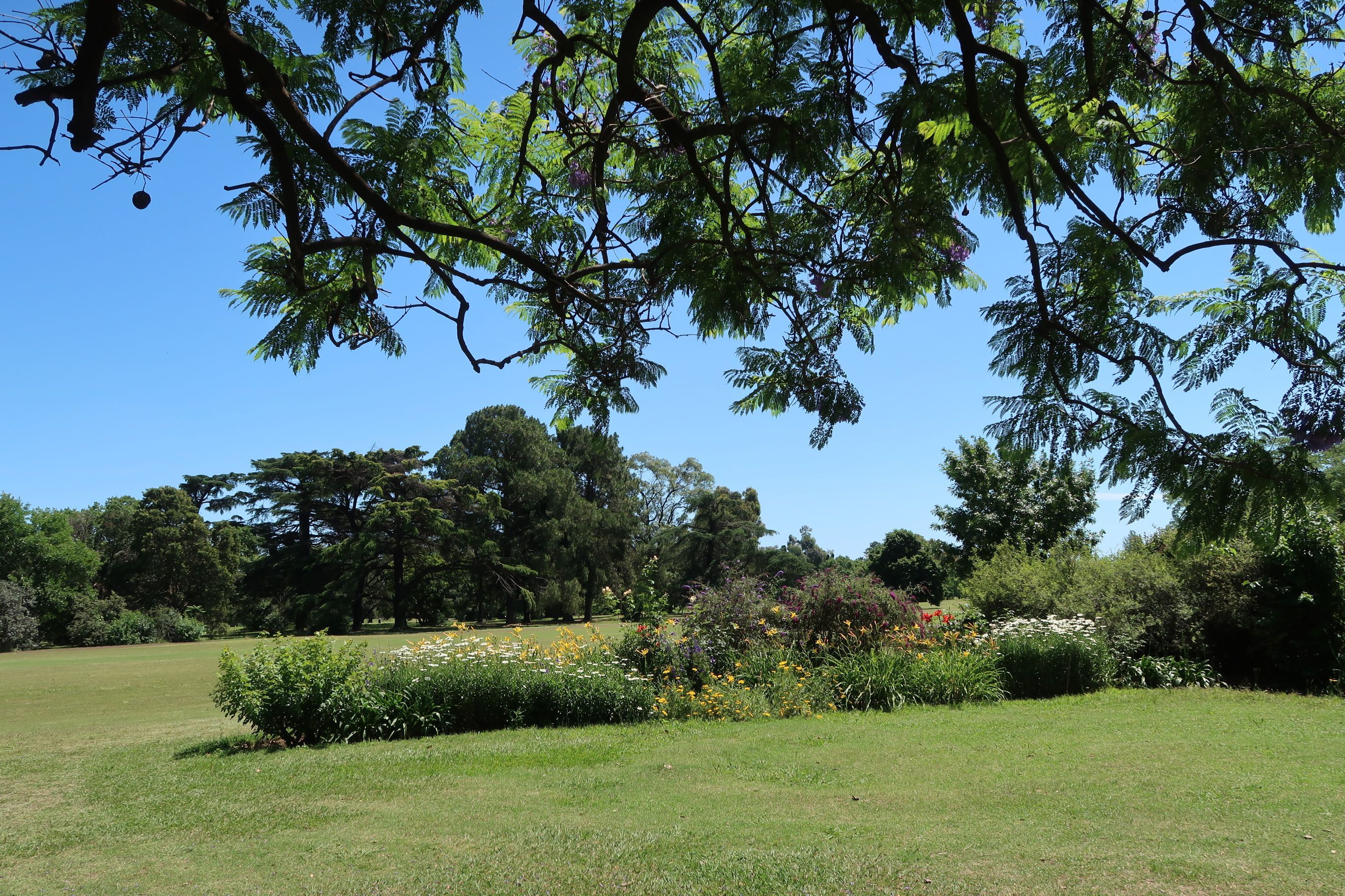 Hurlingham Club El abuelo Inglés