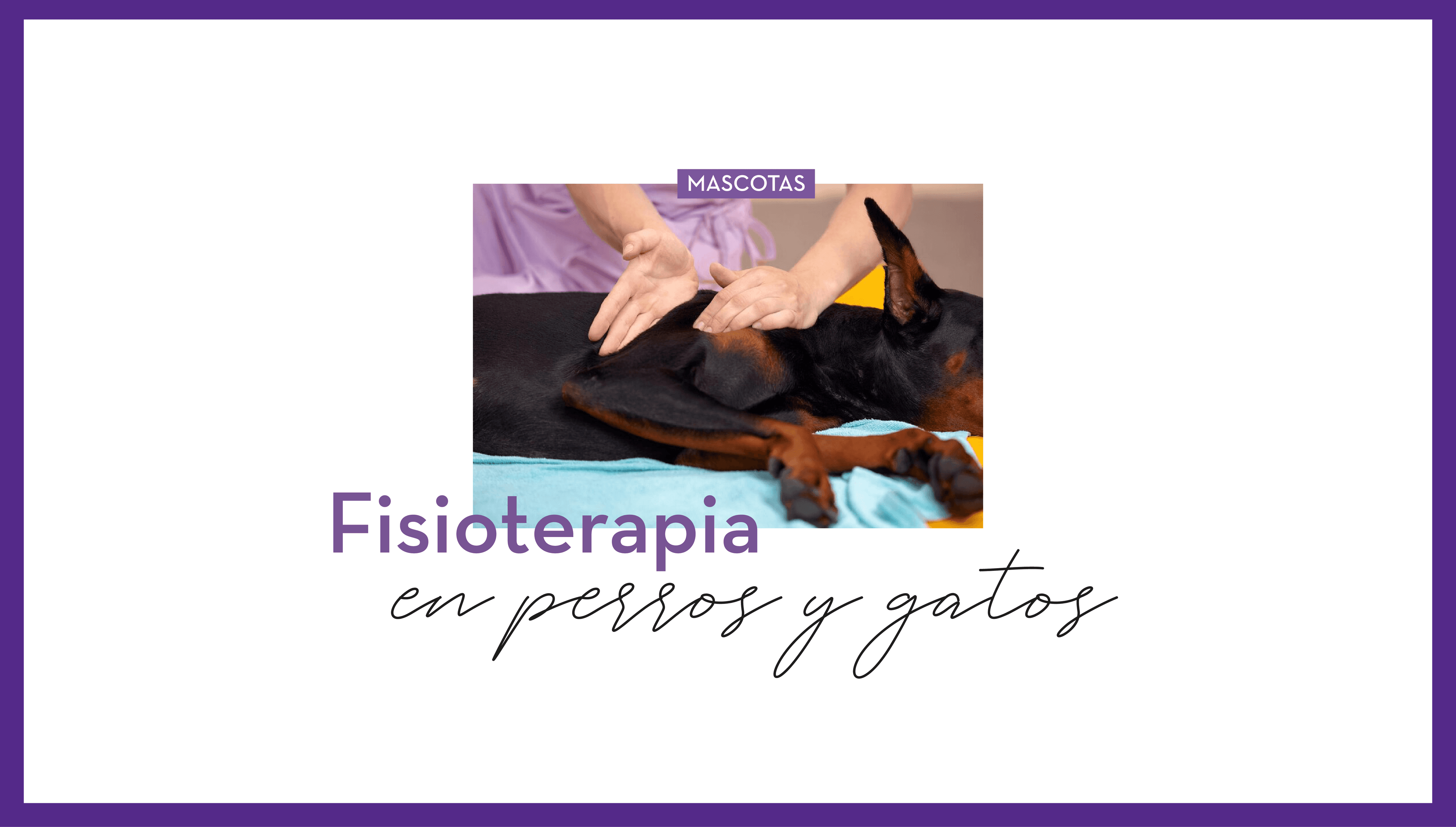 Fisioterapia en perros y gatos