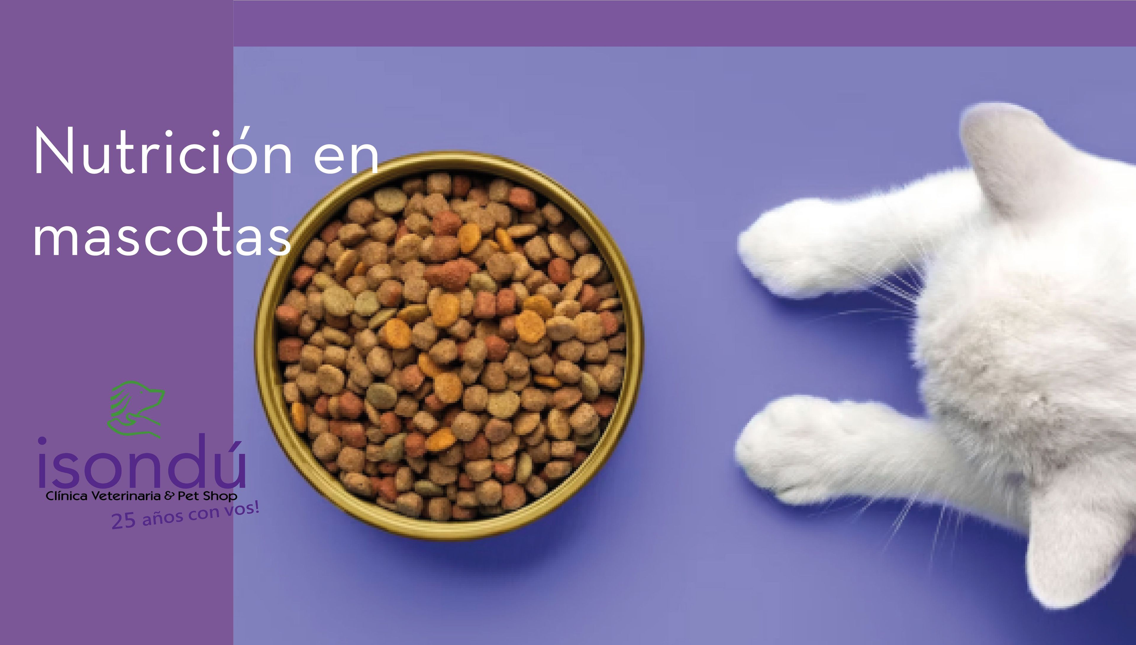 Nutrición en mascotas: Cómo lograr una dieta saludable