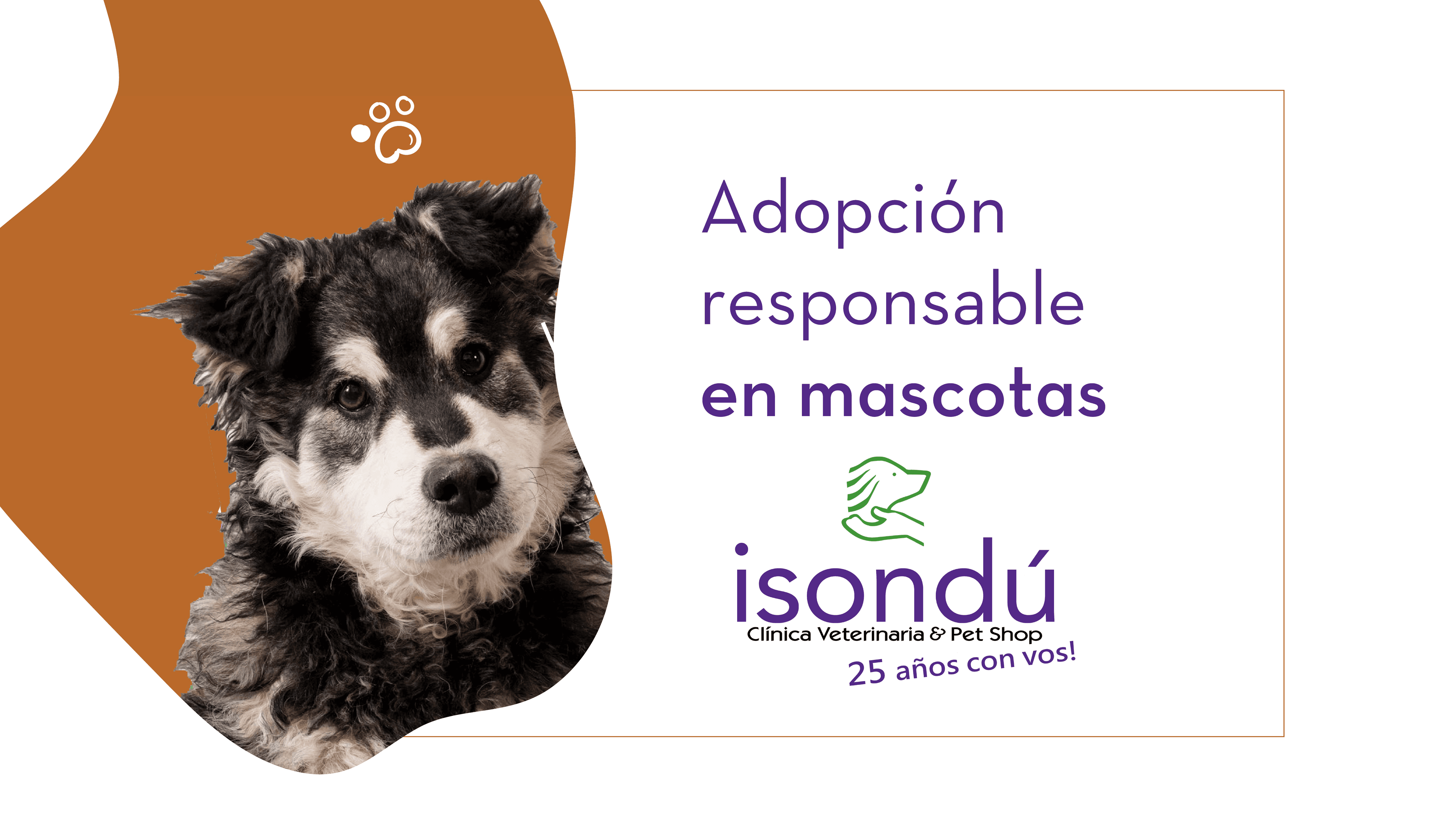 Decile sí a la adopción responsable de mascotas