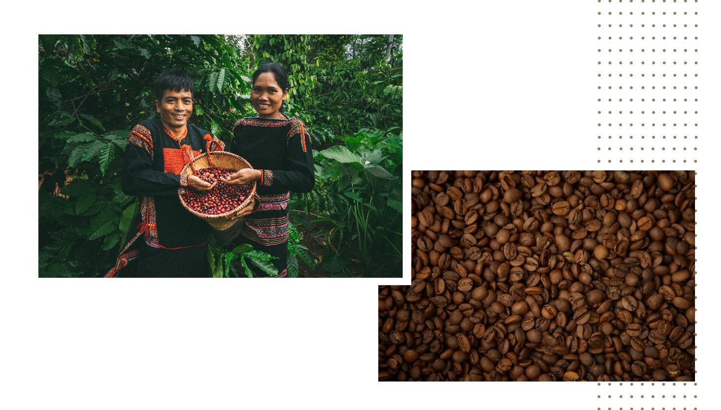 Café de especialidad: Inmenso, oscuro, irresistible