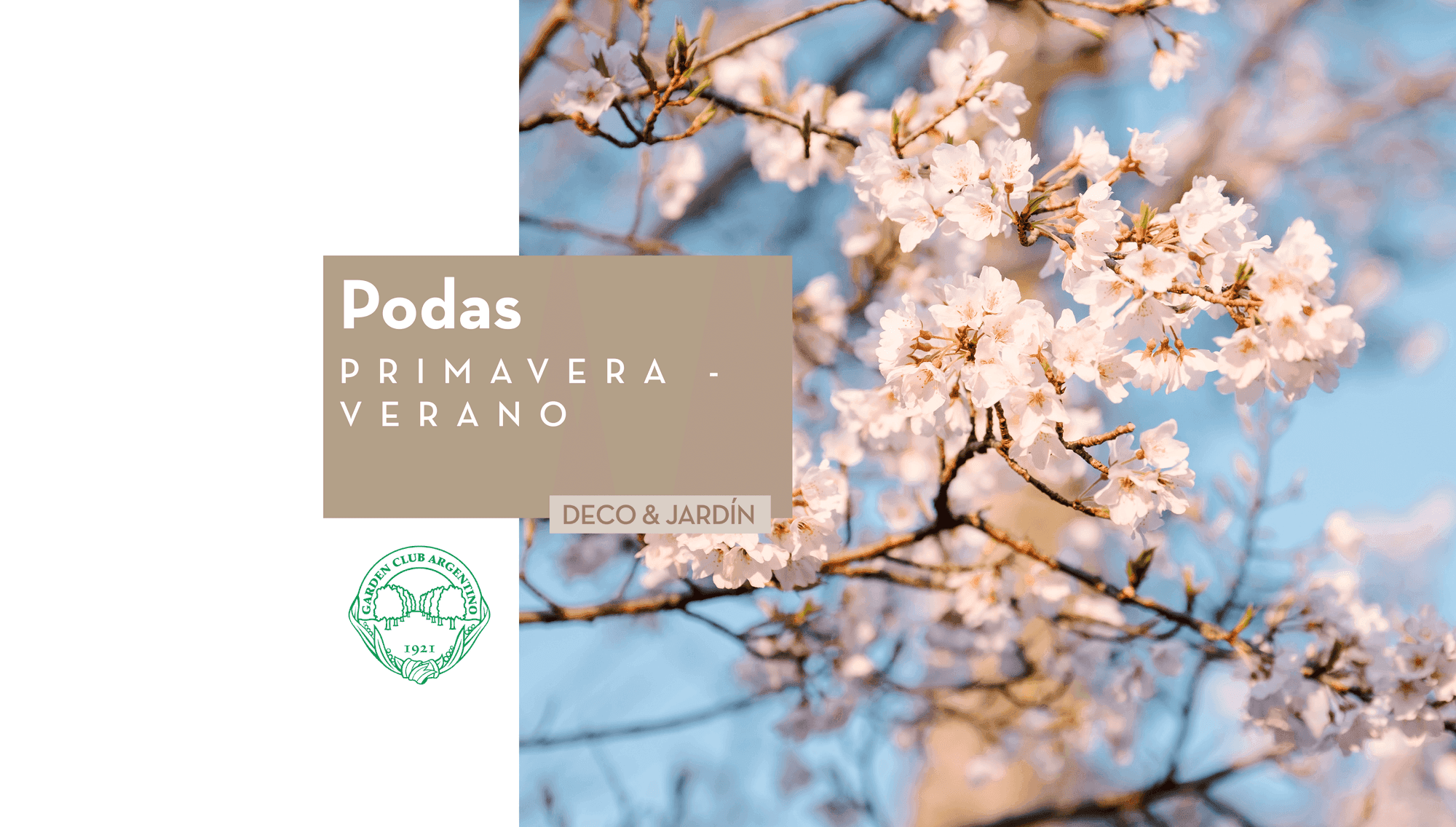 Podas de Primavera/Verano