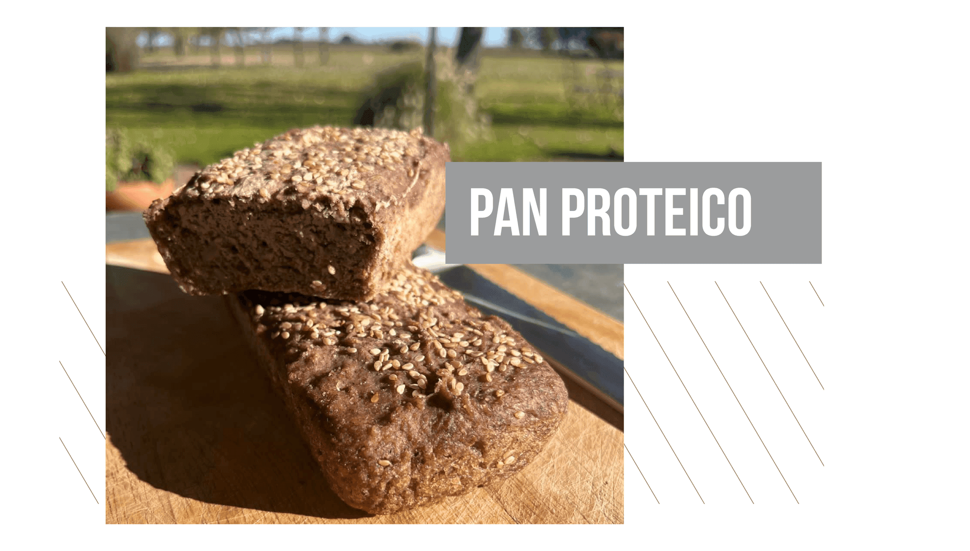 Pan proteico