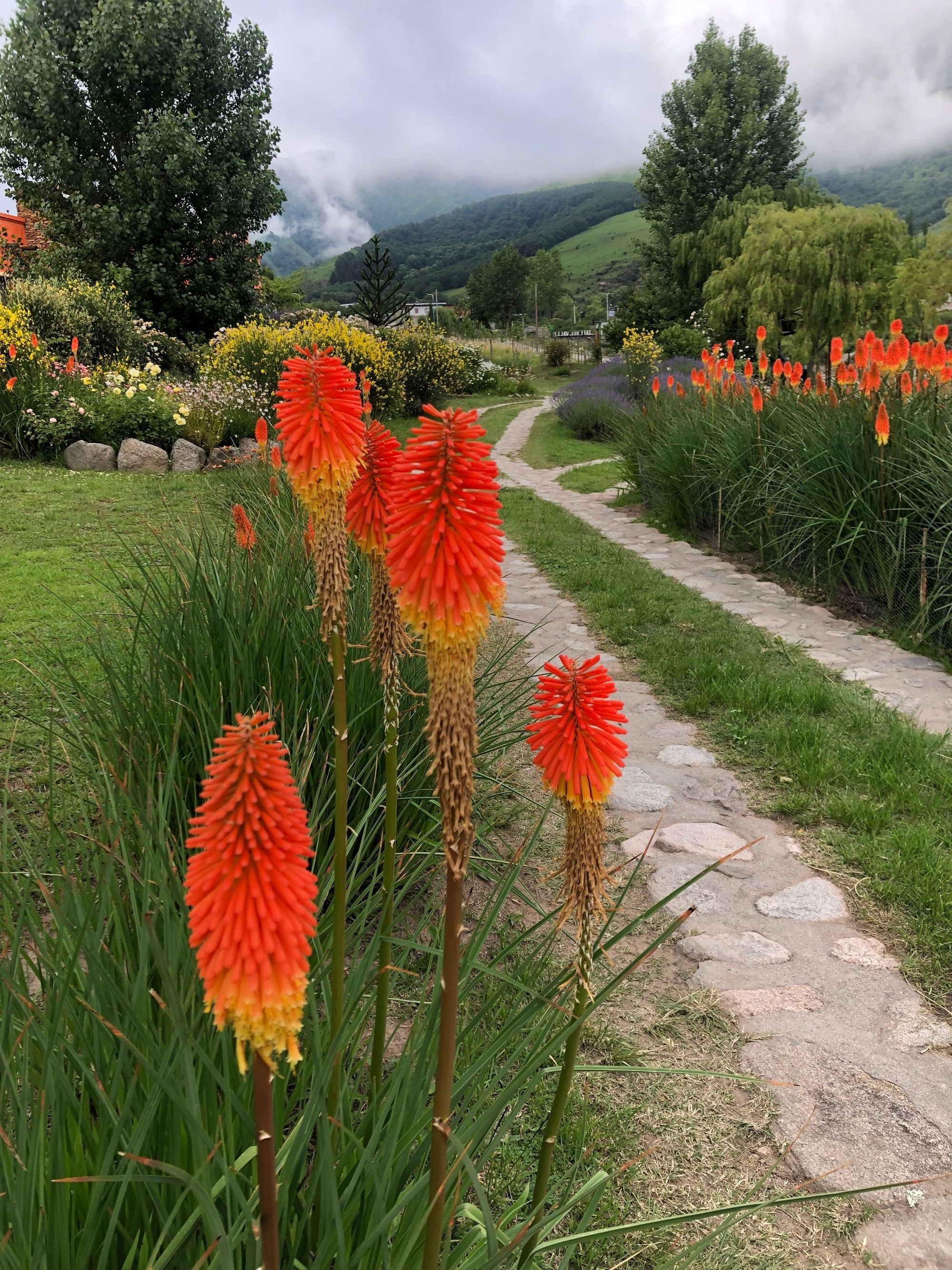 Desde el Valle de Tafí, un jardín en altura