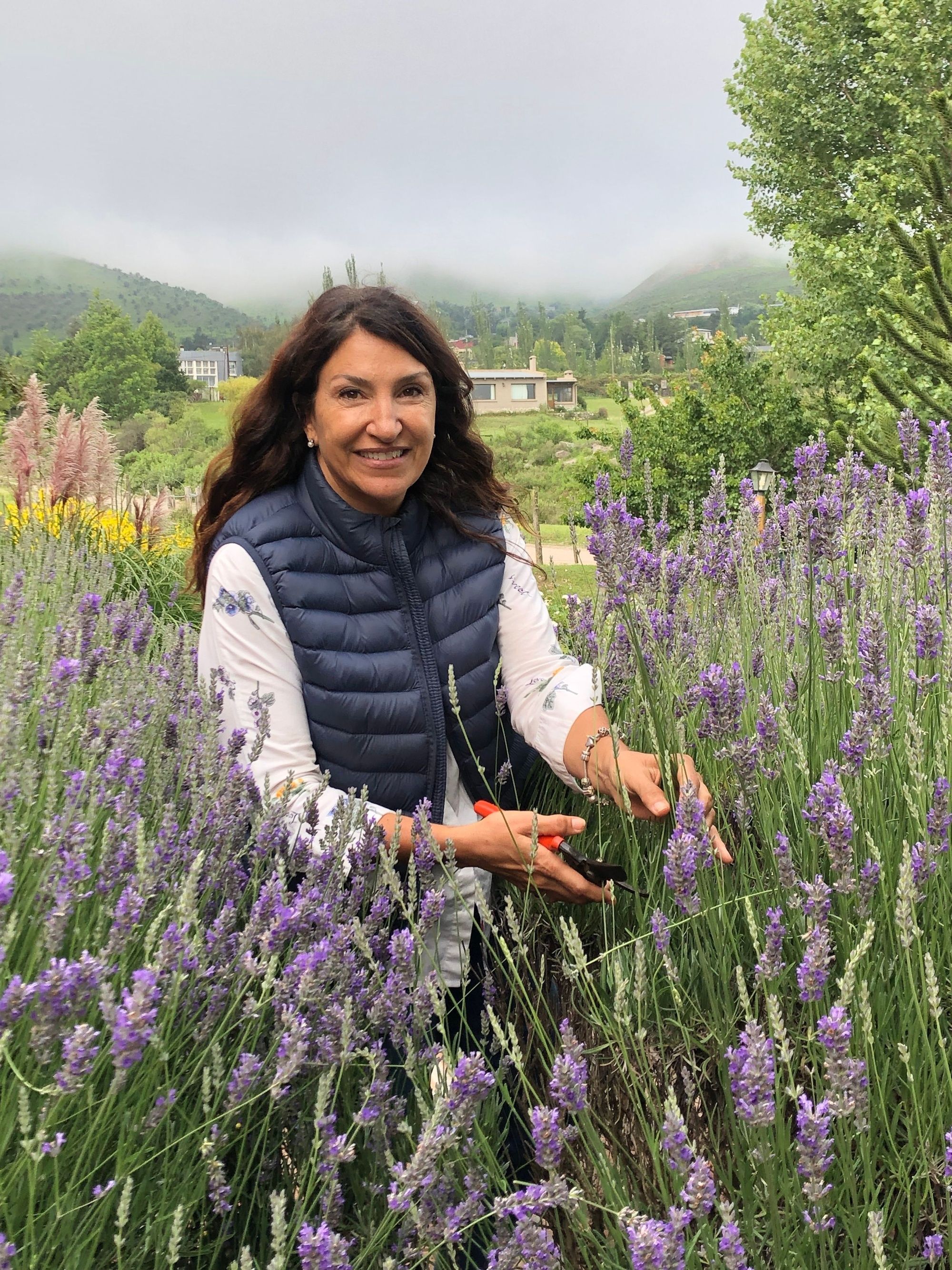 Desde el Valle de Tafí, un jardín en altura