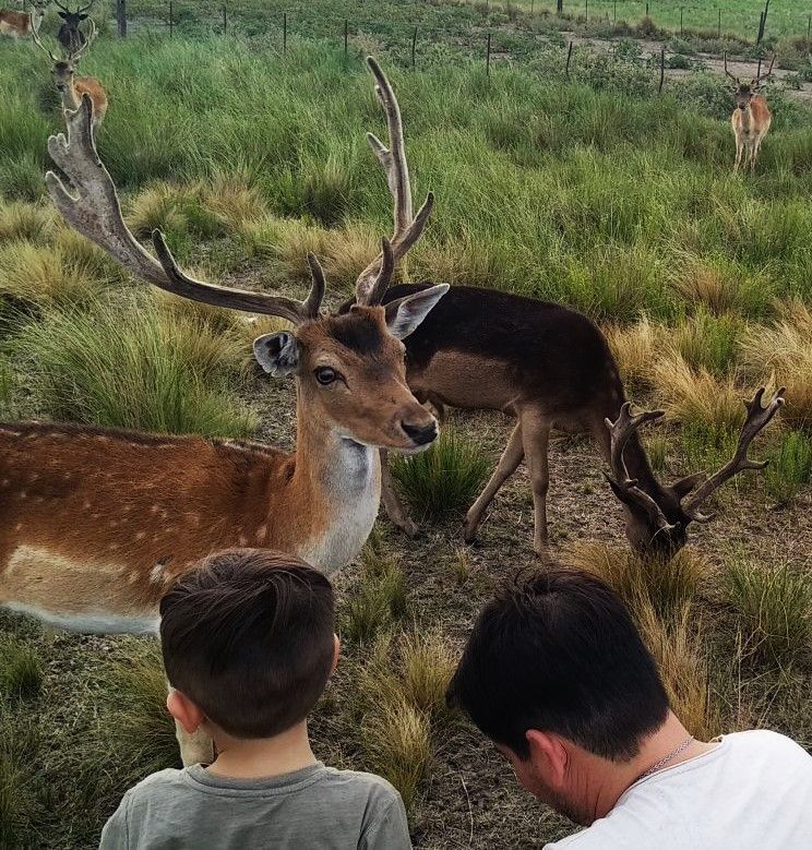 Estancia Mahuida-Co: Cuidar lo autóctono y enseñar a hacerlo