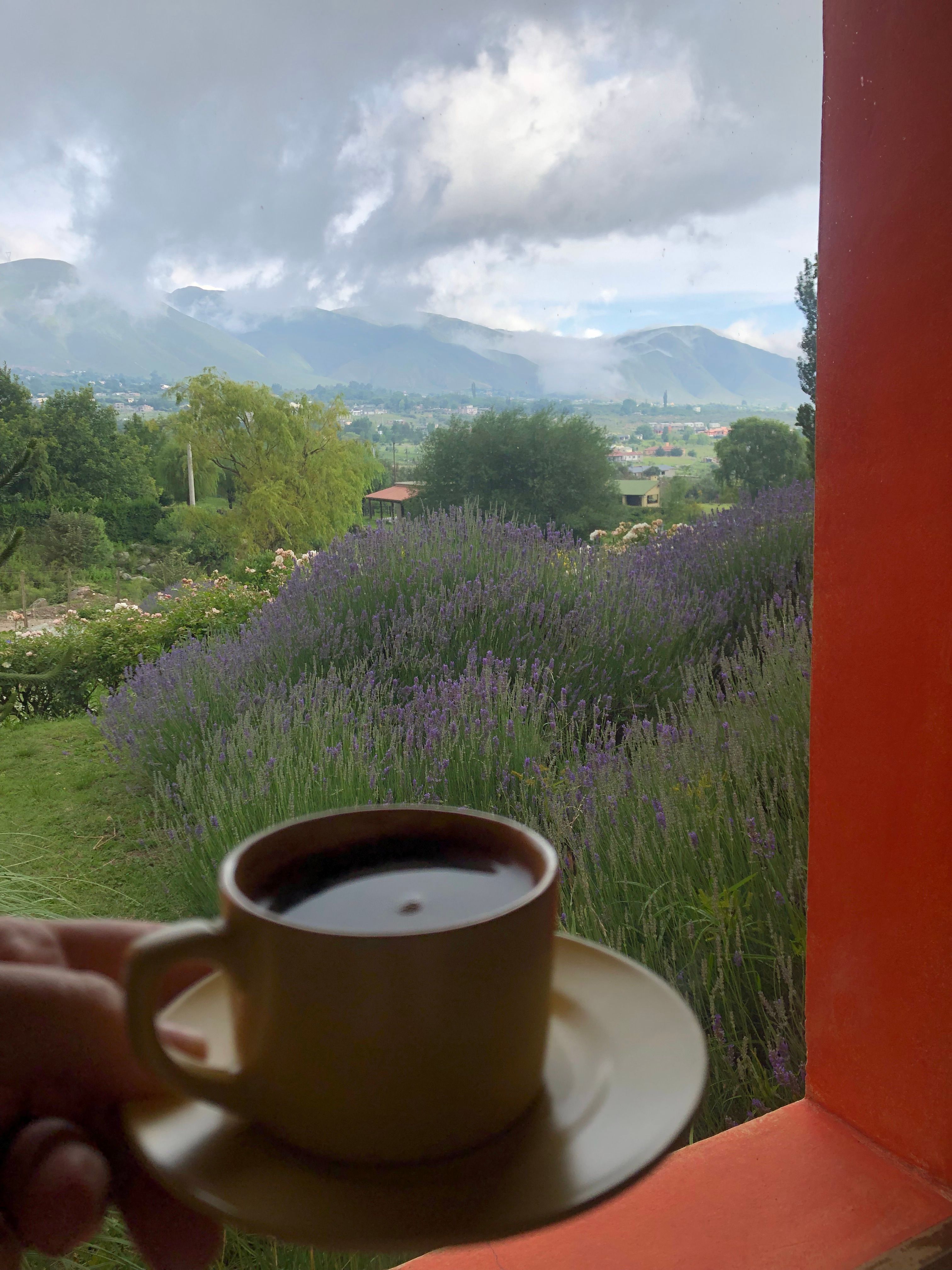 Desde el Valle de Tafí, un jardín en altura