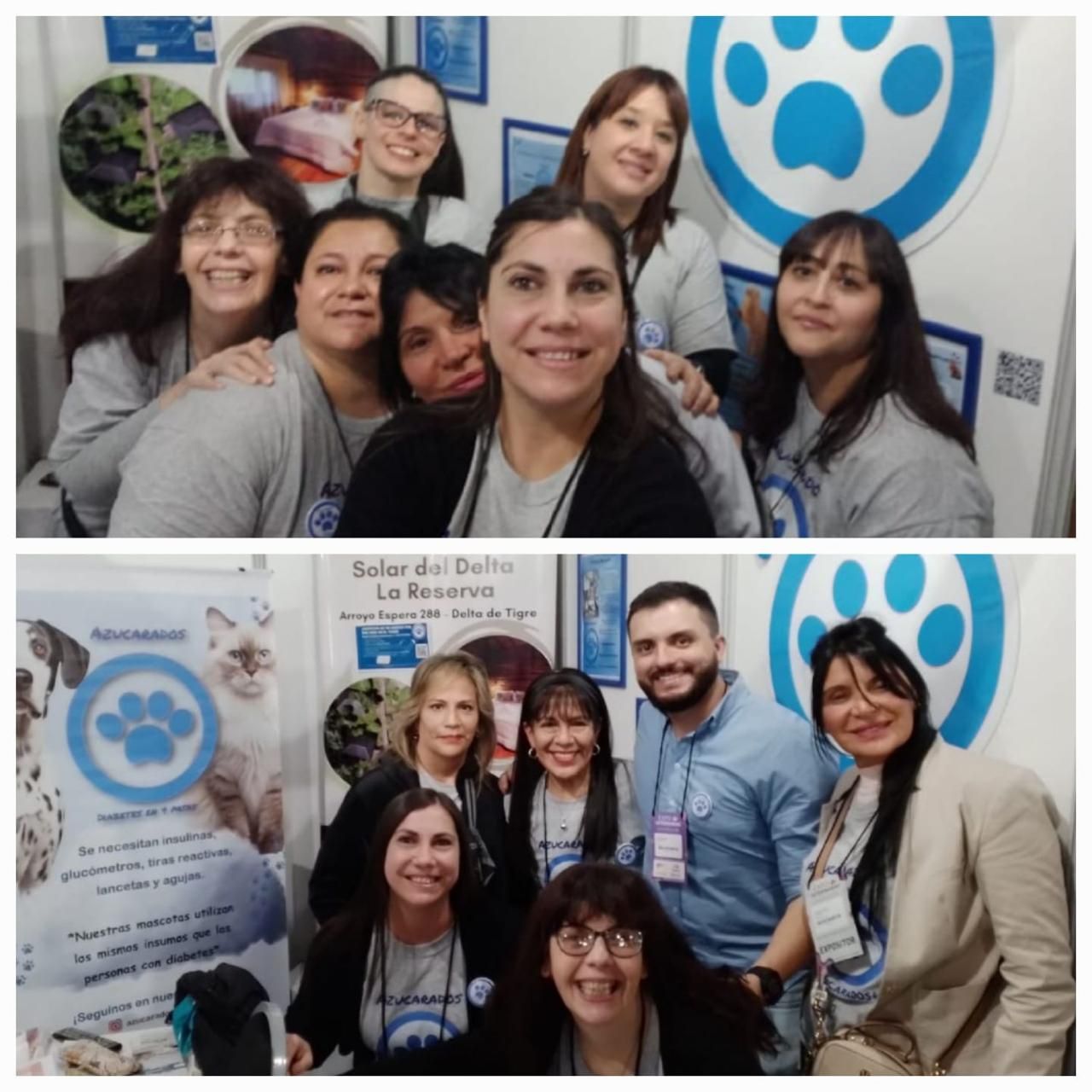 Azucarados de Cuatro Patas: Un Dulce Compromiso con las Mascotas Diabéticas