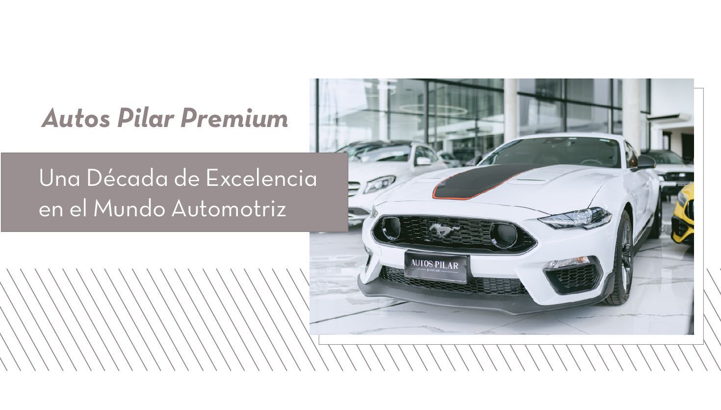 Autos Pilar Premium: Una década de excelencia en el mundo automotriz