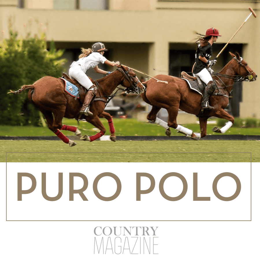 Puro Polo: Pasión, talento y espíritu de equipo en San Diego