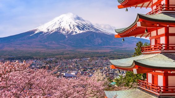 Japón: Una Odisea Sensorial con Mundo MBA