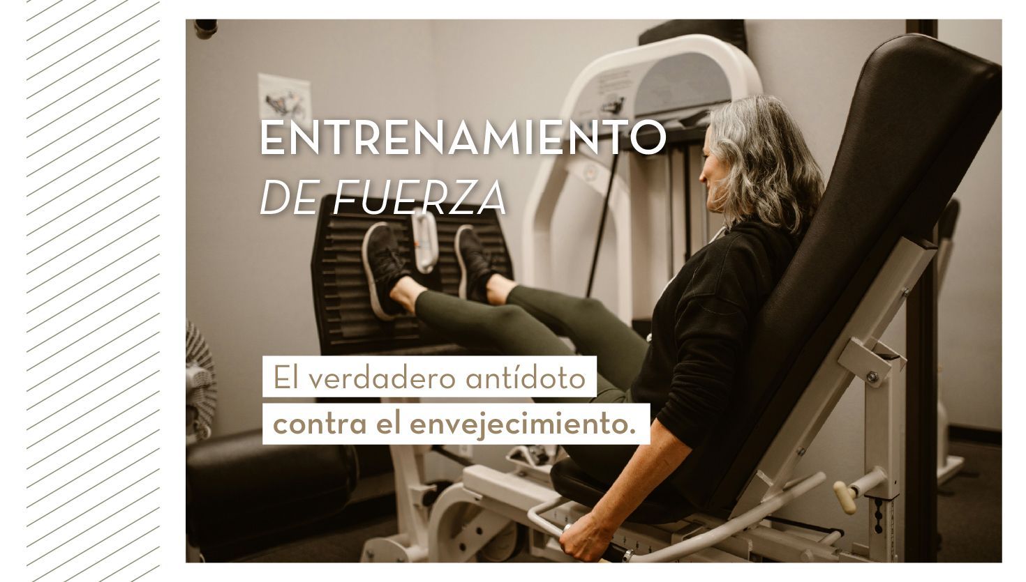 Entrenar la fuerza en la edad adulta
