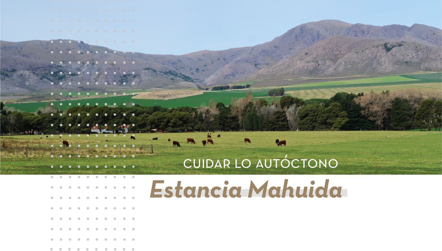 Estancia Mahuida-Co: Cuidar lo autóctono y enseñar a hacerlo