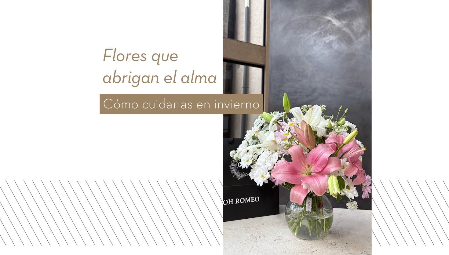  Flores que abrigan el alma: cómo cuidarlas en invierno y disfrutar su energía