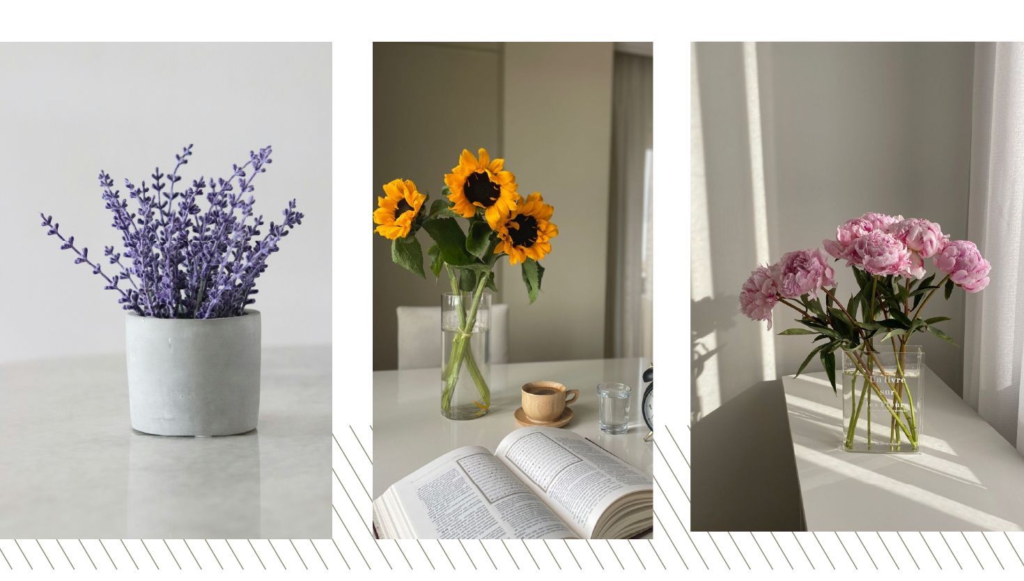 Flores que sanan: la energía emocional que despiertan en vos