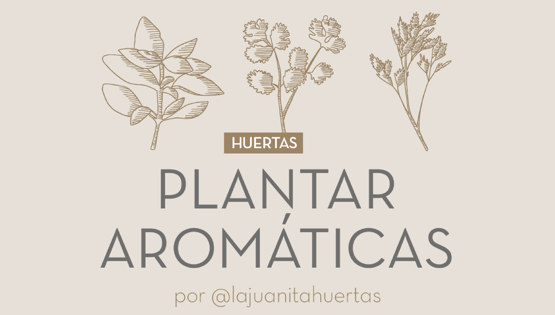 Plantar Aromáticas 