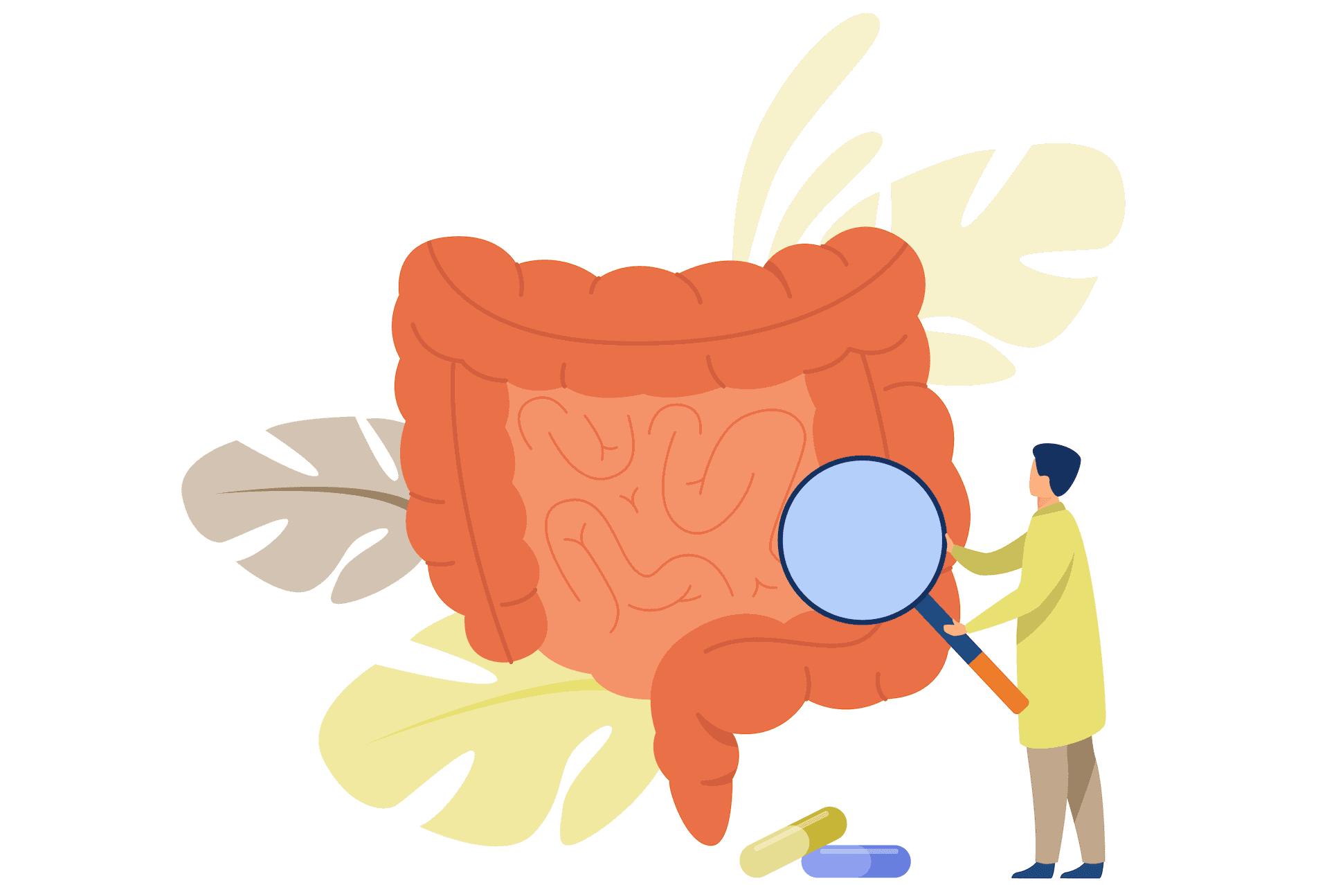 Medicina Digestiva del Bienestar