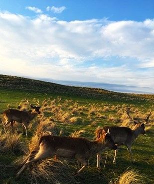 Estancia Mahuida-Co: Cuidar lo autóctono y enseñar a hacerlo