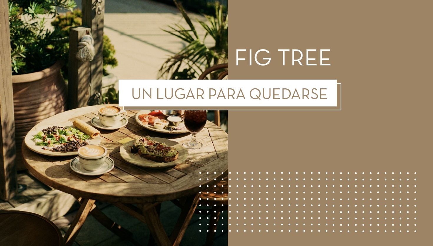 Fig Tree, un lugar para quedarse