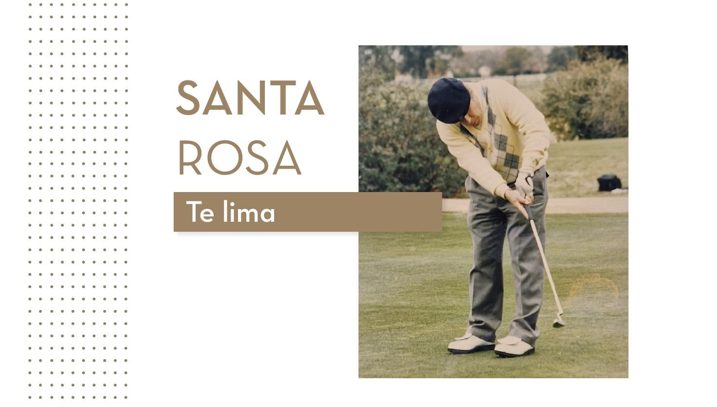 Santa Rosa te lima
