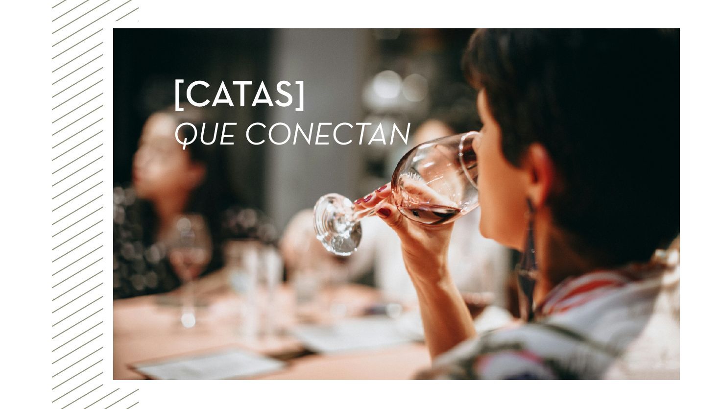 Catas que conectan