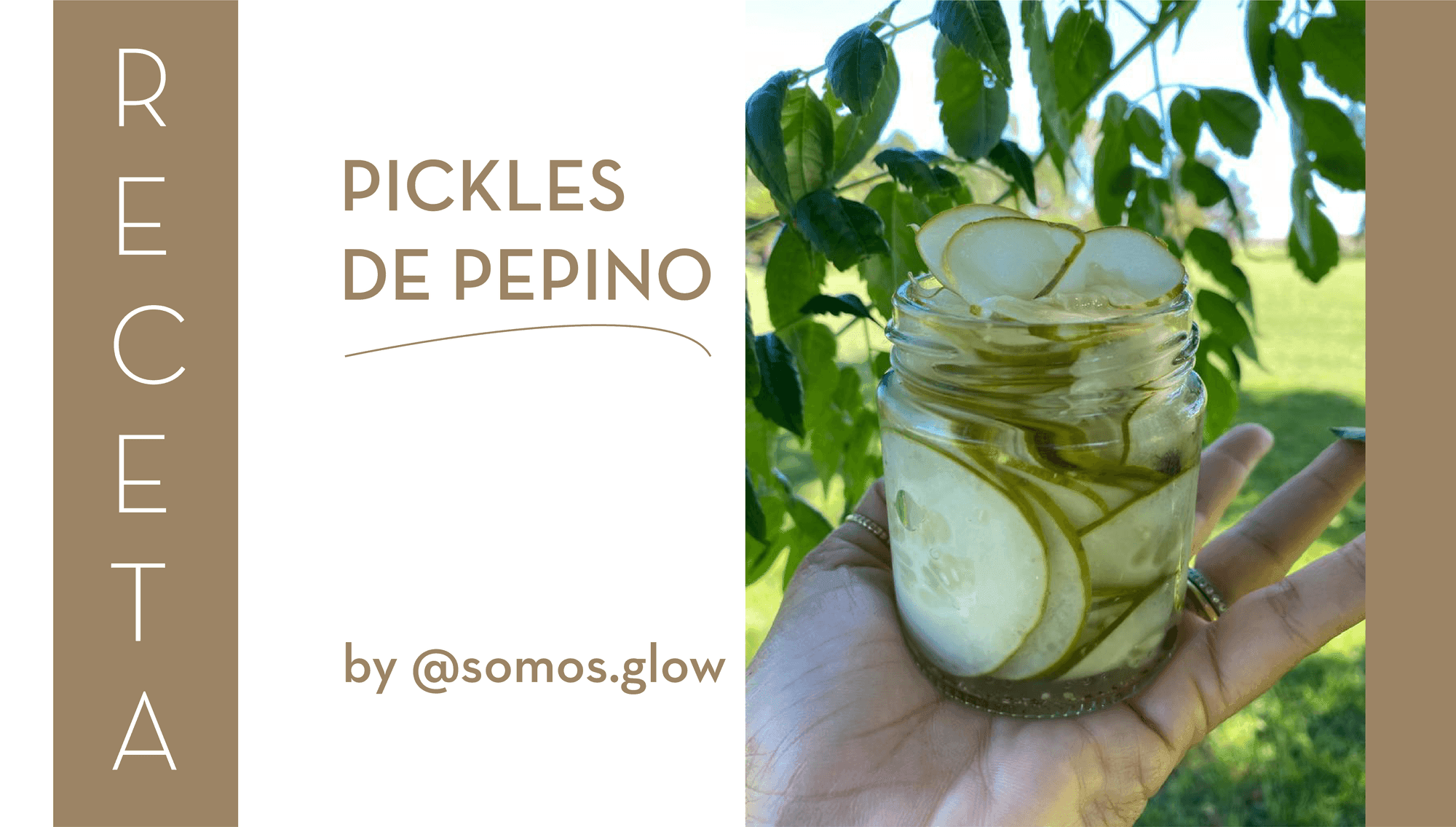 Pickles de pepinos
