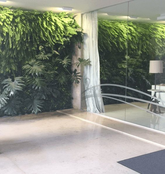 Plantas de interior: transformá tus ambientes en espacios llenos de naturaleza