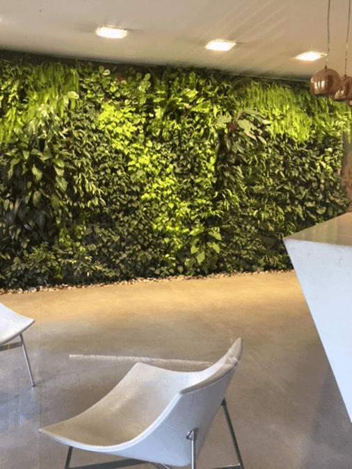 Plantas de interior: transformá tus ambientes en espacios llenos de naturaleza