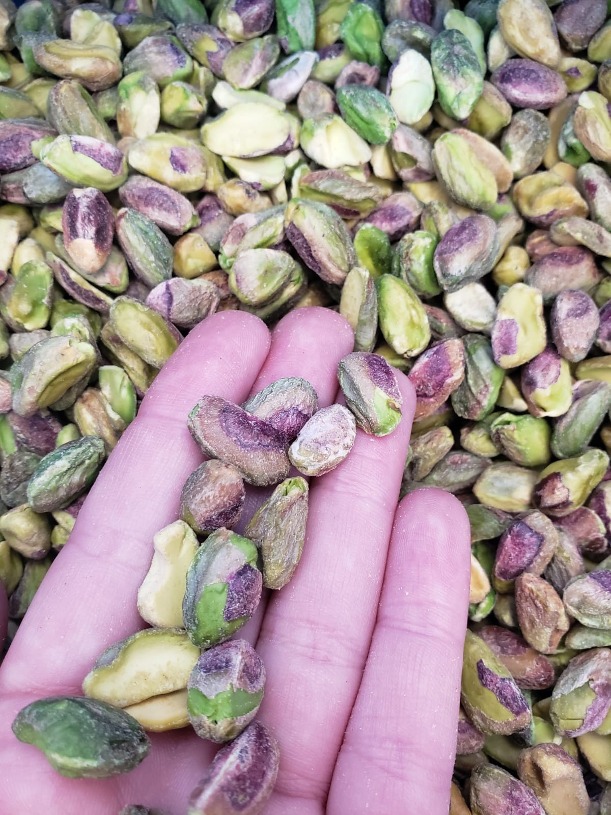 Portada del servicio Gonzalo