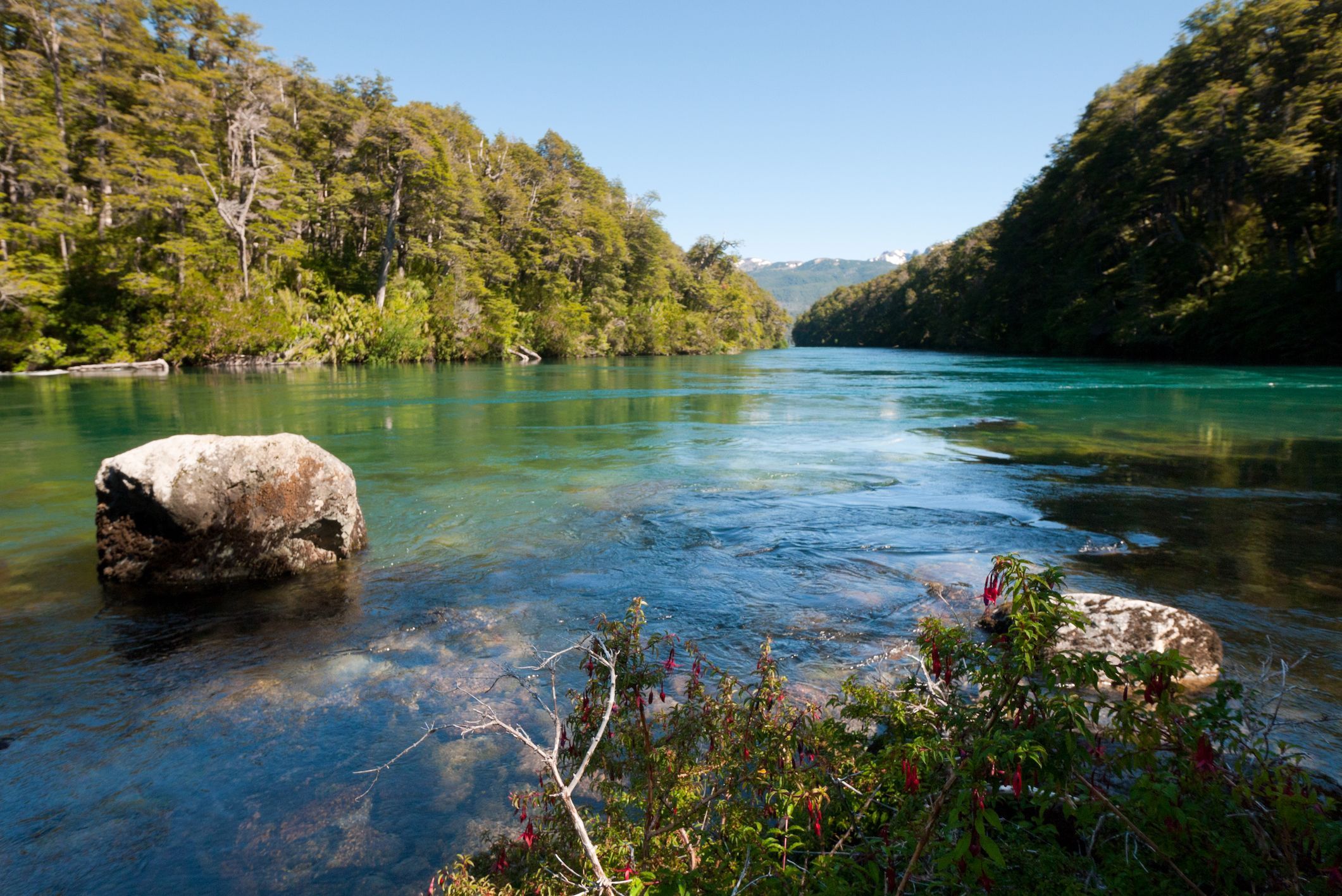El rio más hermoso del mundo en Parque Nacional Los Alerces