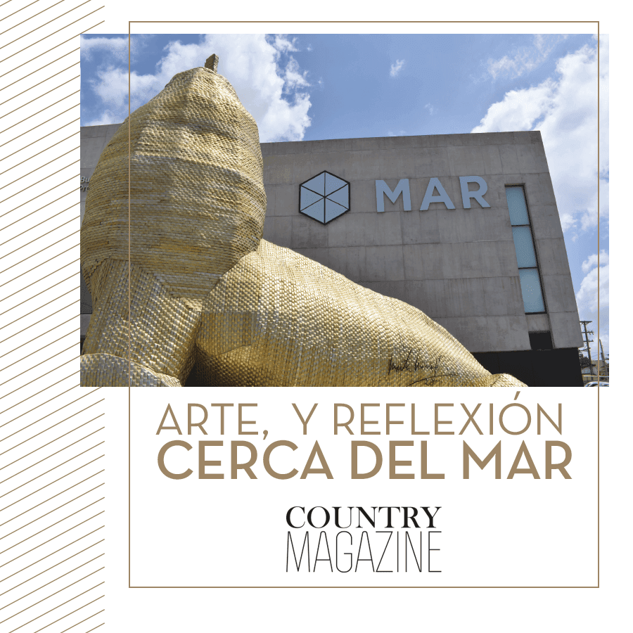 Arte, sensaciones y reflexión acerca del mar