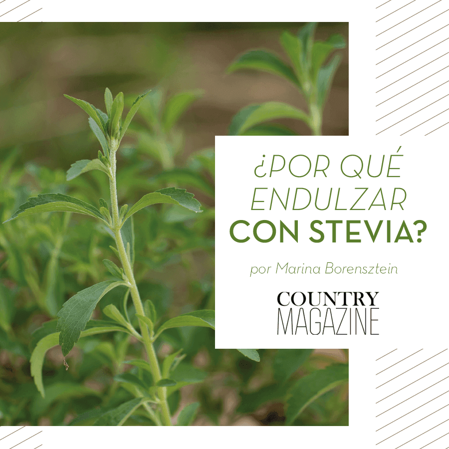 ¿Por que endulzar con stevia?